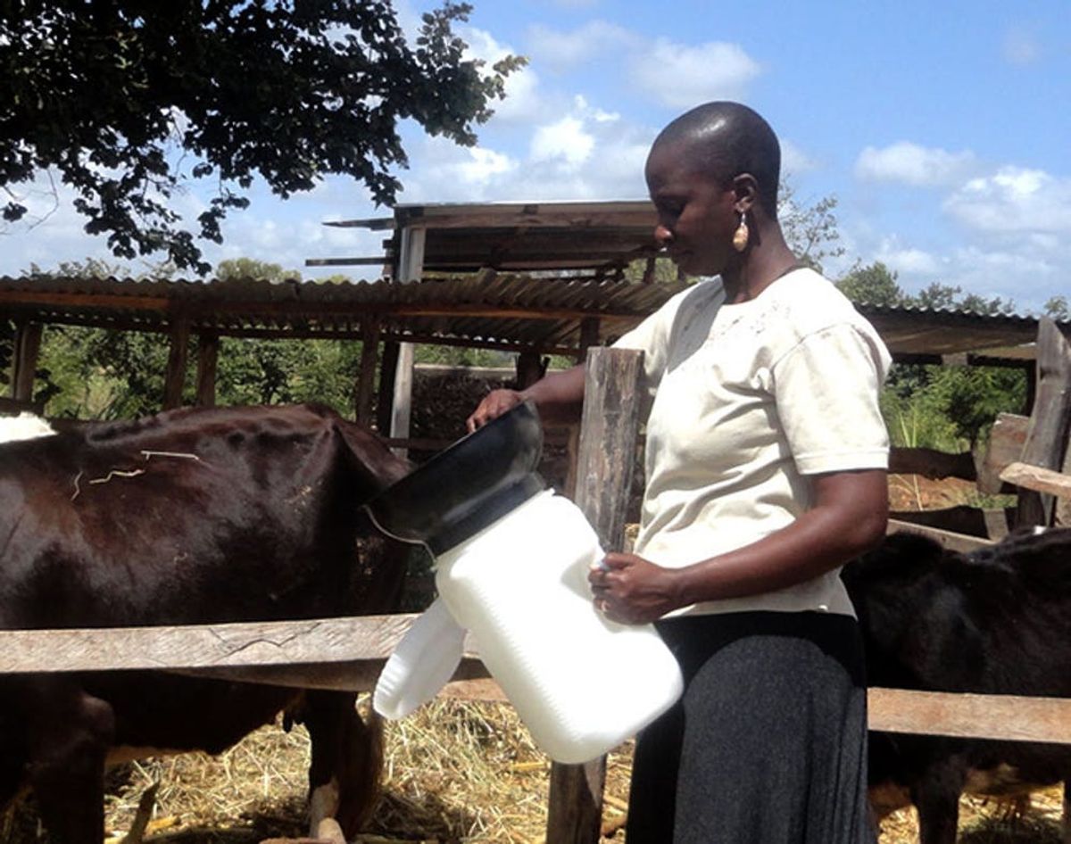 How a Redesigned Milk Pail Will Change Food Distribution in Kenya