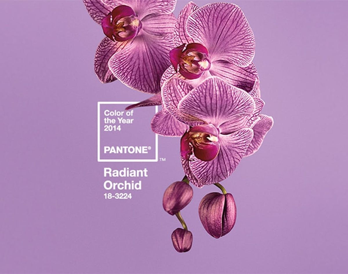 And Pantone’s Color of the Year for 2015 Is…
