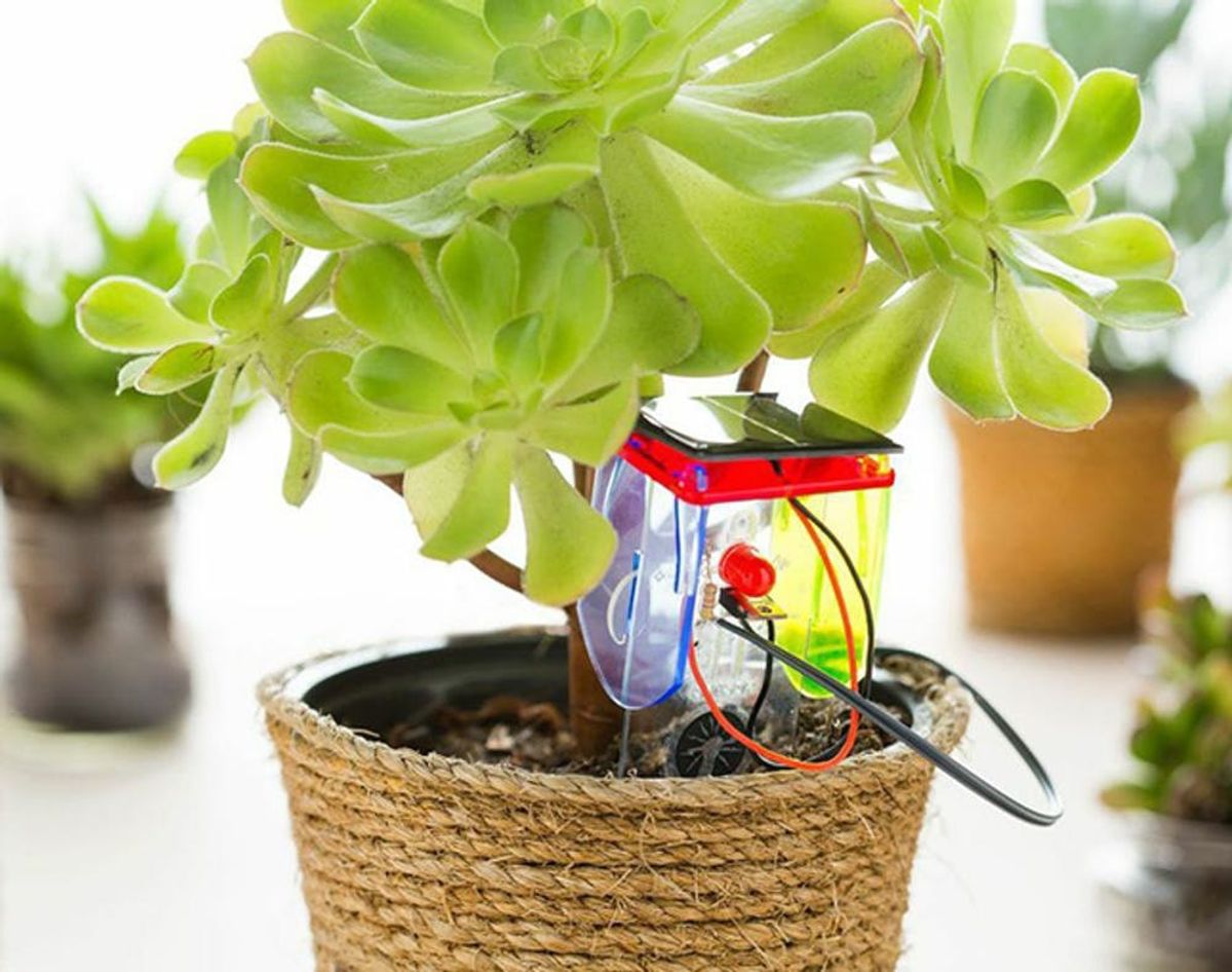 This Gadget Will Take Care of Your Plants for You
