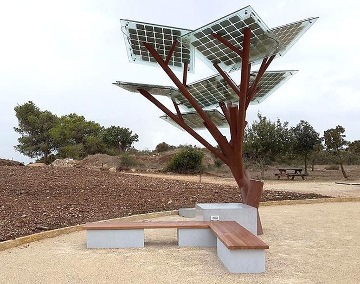 A Tree That Charges Your Phone? Welcome to the Future