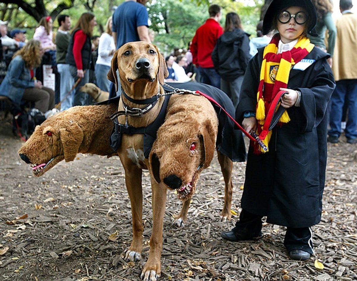 11 Harry Potter Costumes to Honor J.K. Rowling’s Latest Story