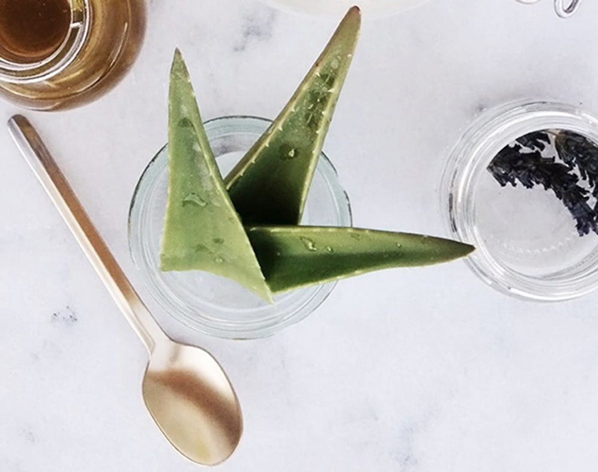 15 Reasons Aloe Should Be Your Beauty Bestie for Life