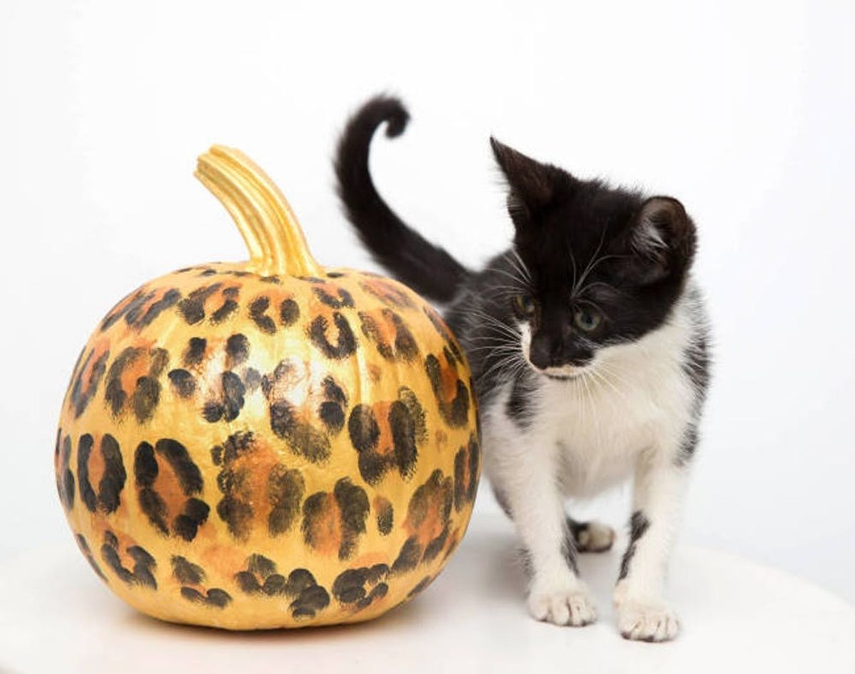 Stay Golden With 20 Gilded Fall Decor Ideas