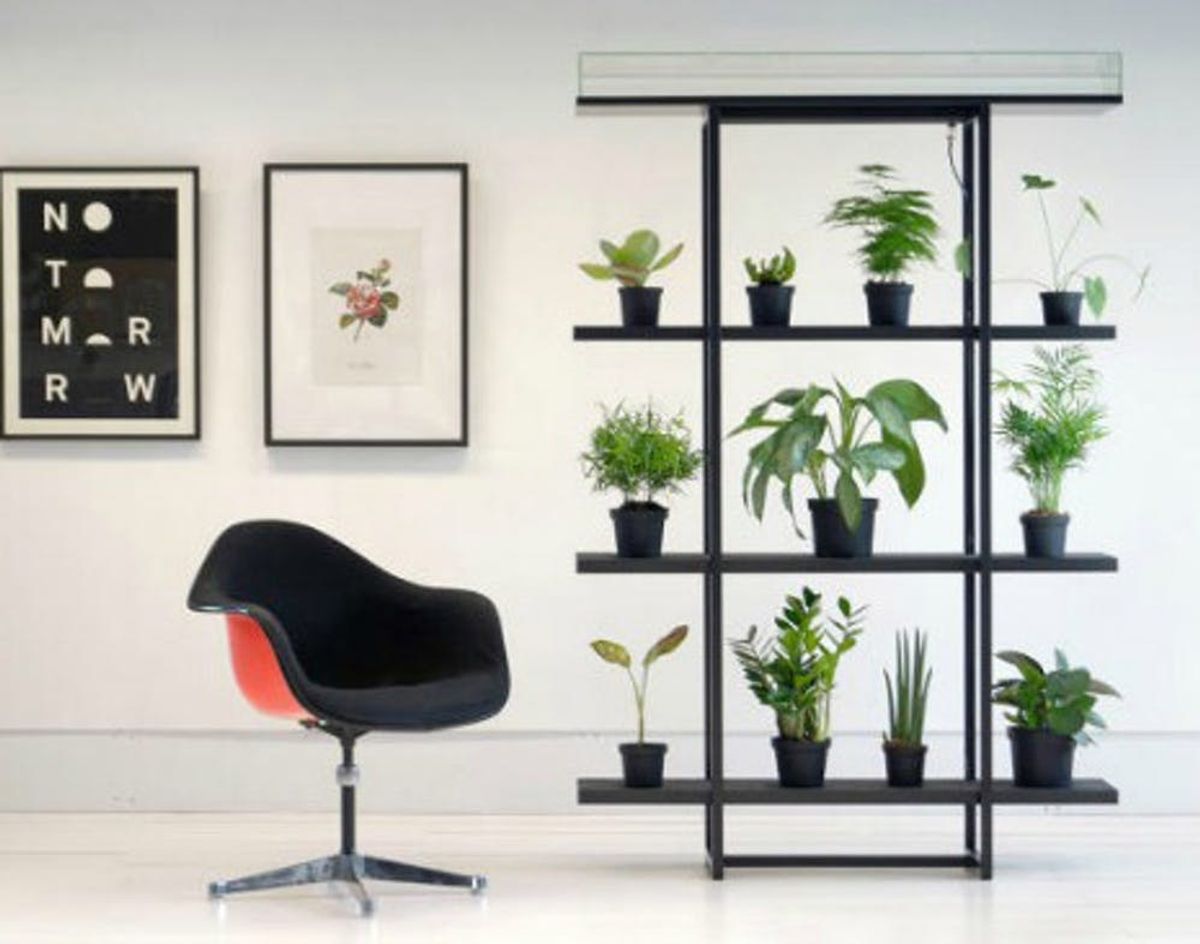 Never Worry About Your Plants Again With This Self-Watering Wall
