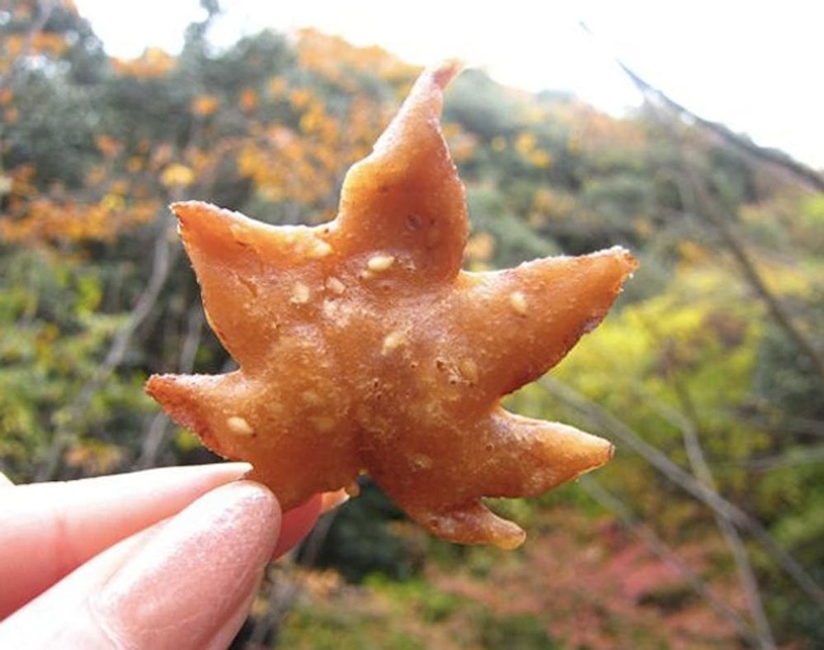 WTF: Would You Eat Fried Maple Leaves?