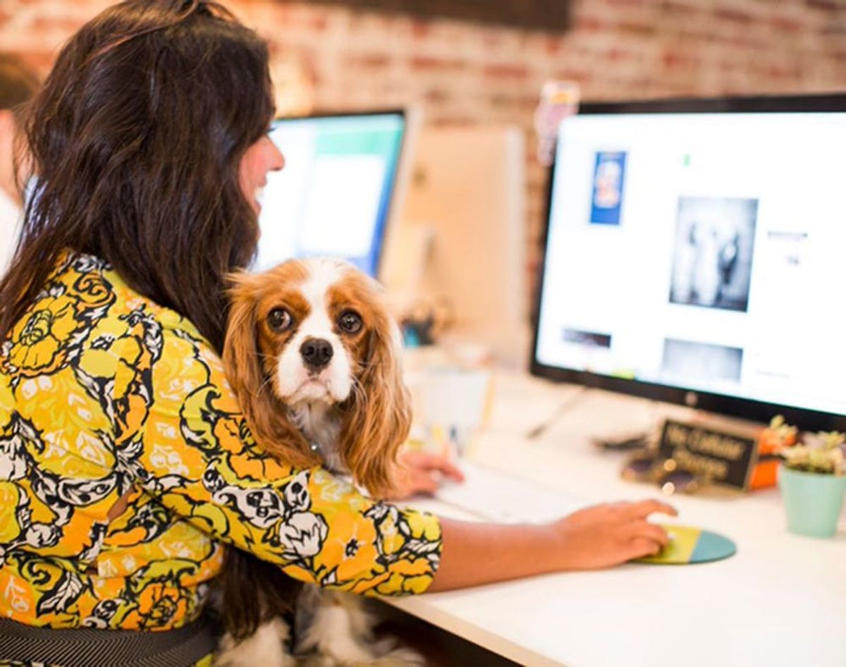 Finally! An App to Help You Stop Procrastinating