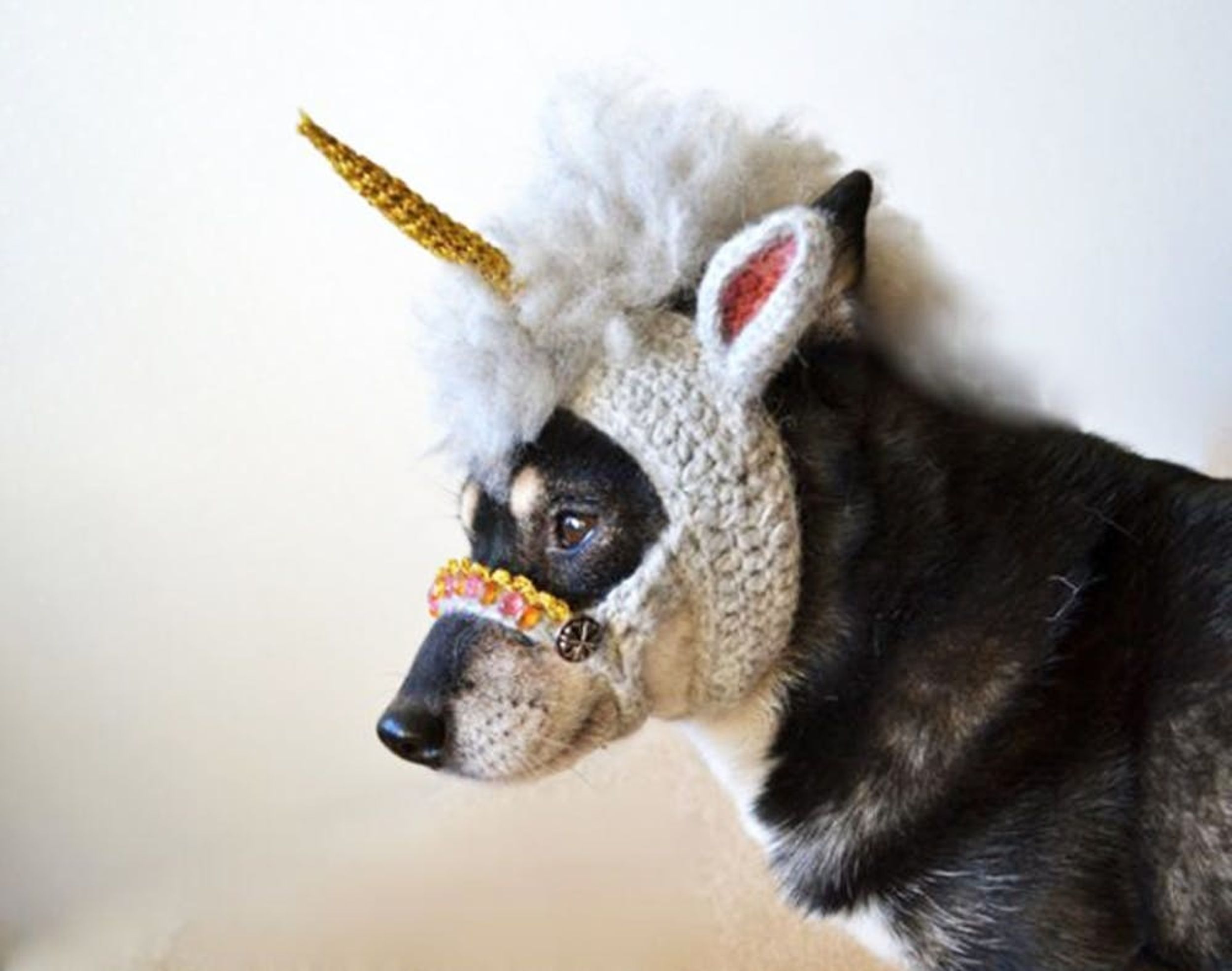 22 Funny Dog Costumes for Halloween