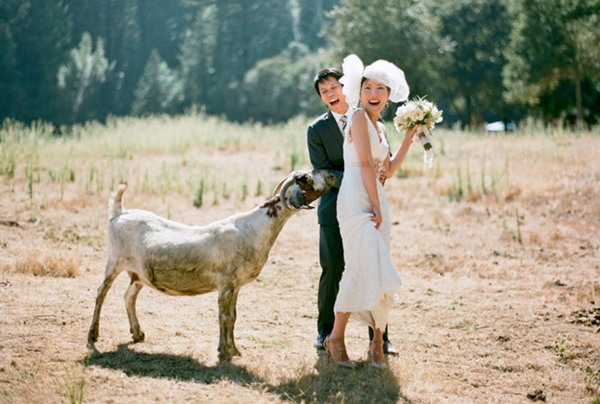 30 Unusual Ideas for an Animal-Inspired Wedding