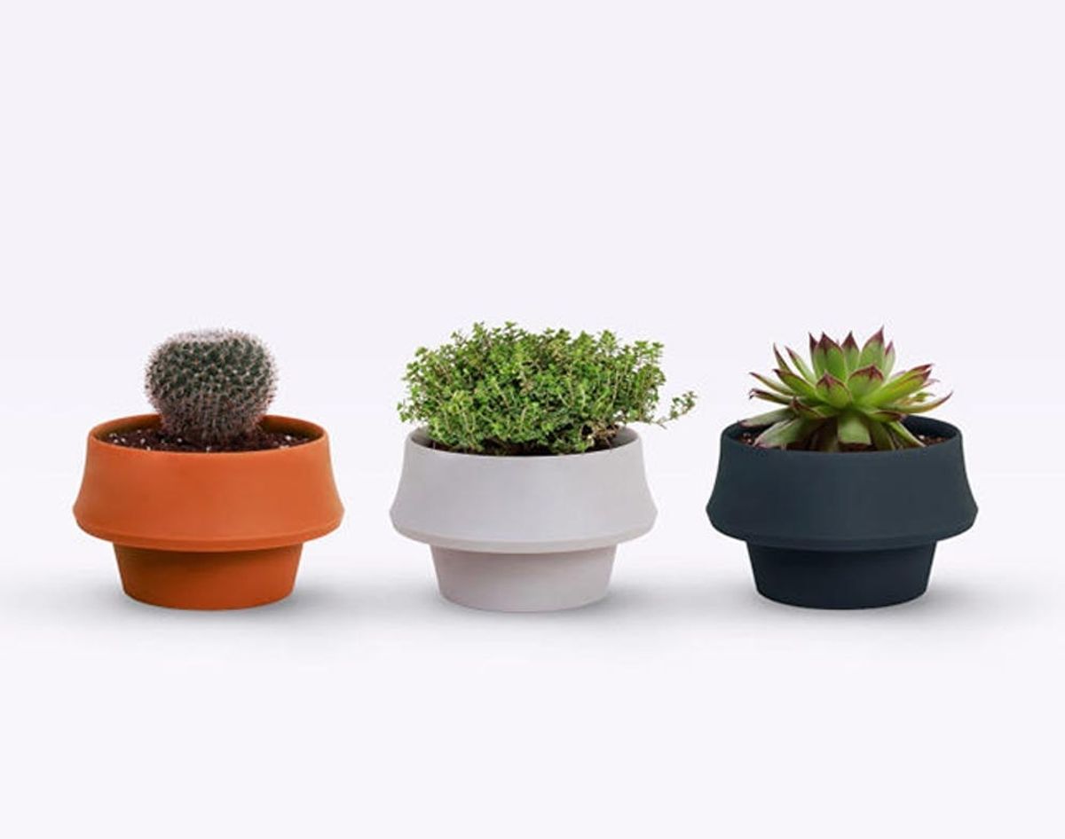 Made Us Look: This Planter Grows With Its Plant
