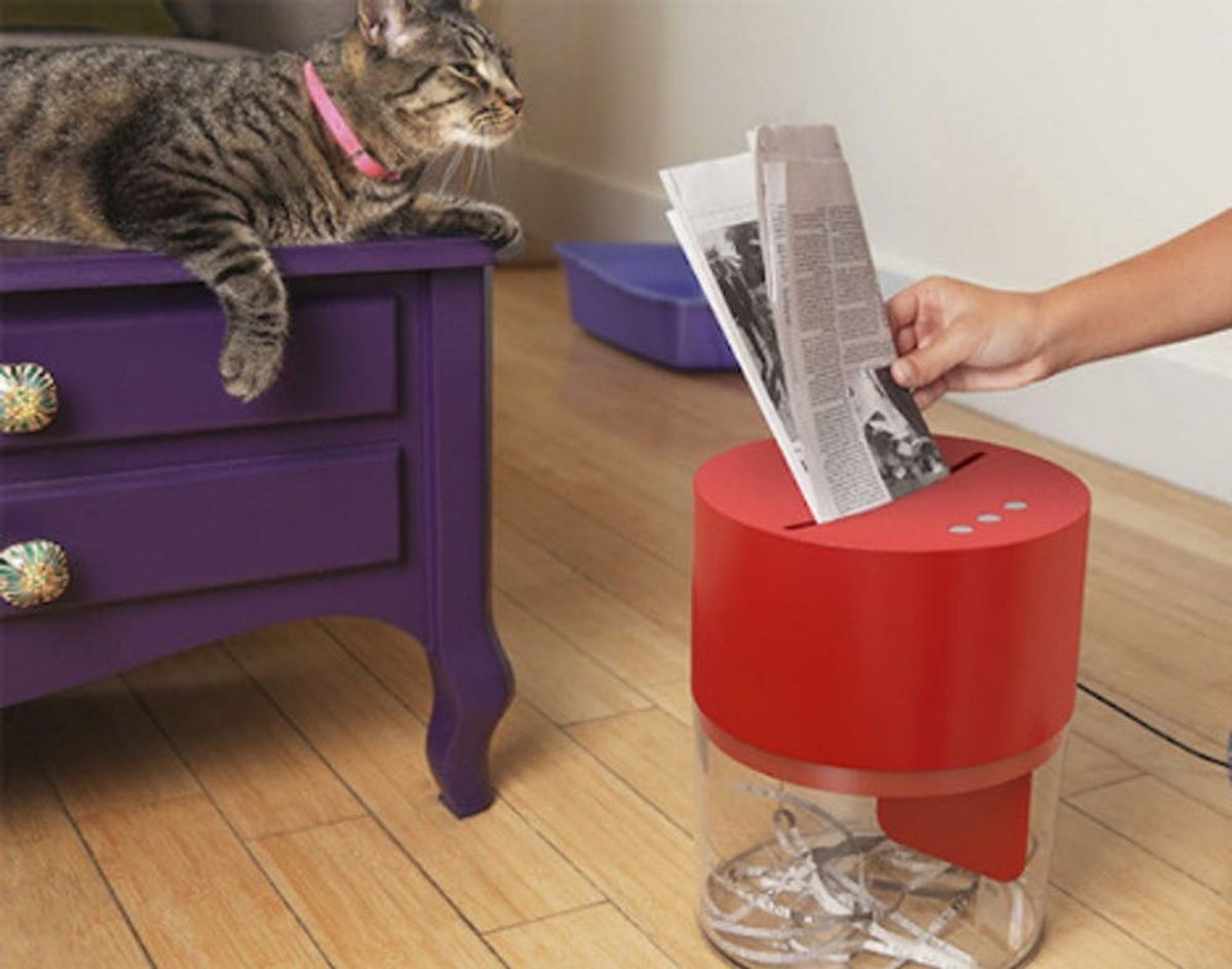 How to Make Kitty Litter At Home