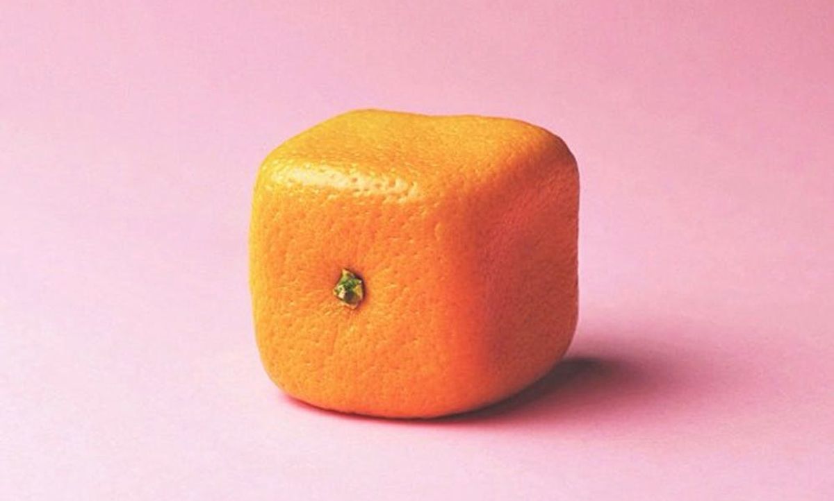 Bizzerer 10 Beautifully Bizzare Instagram Accounts - Brit + Co