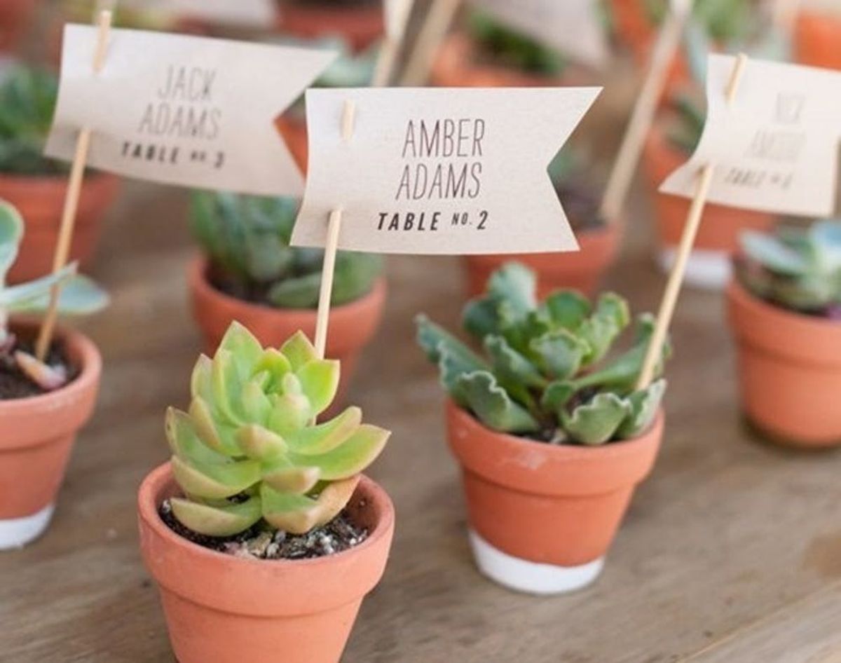 42 Creative Ways to Use Succulents in Your Wedding