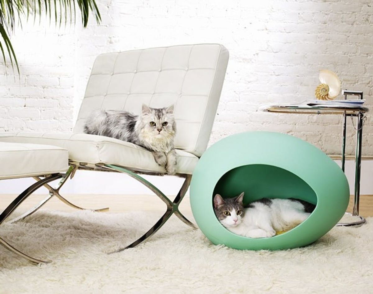 Bow-WOW! 20 Modern Pet Beds for Your Furry Friends