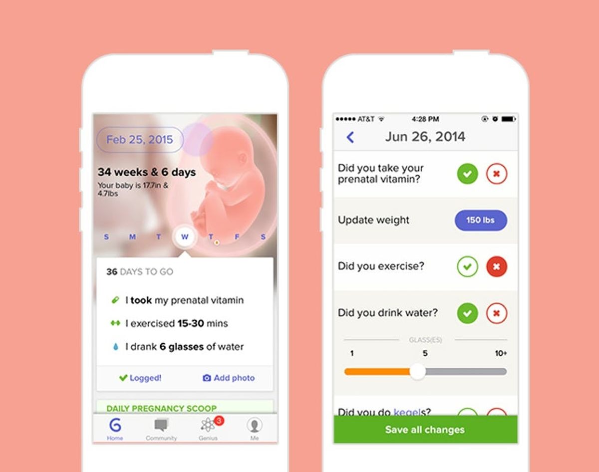 Glow’s New App Is a Real Time What to Expect When You’re Expecting