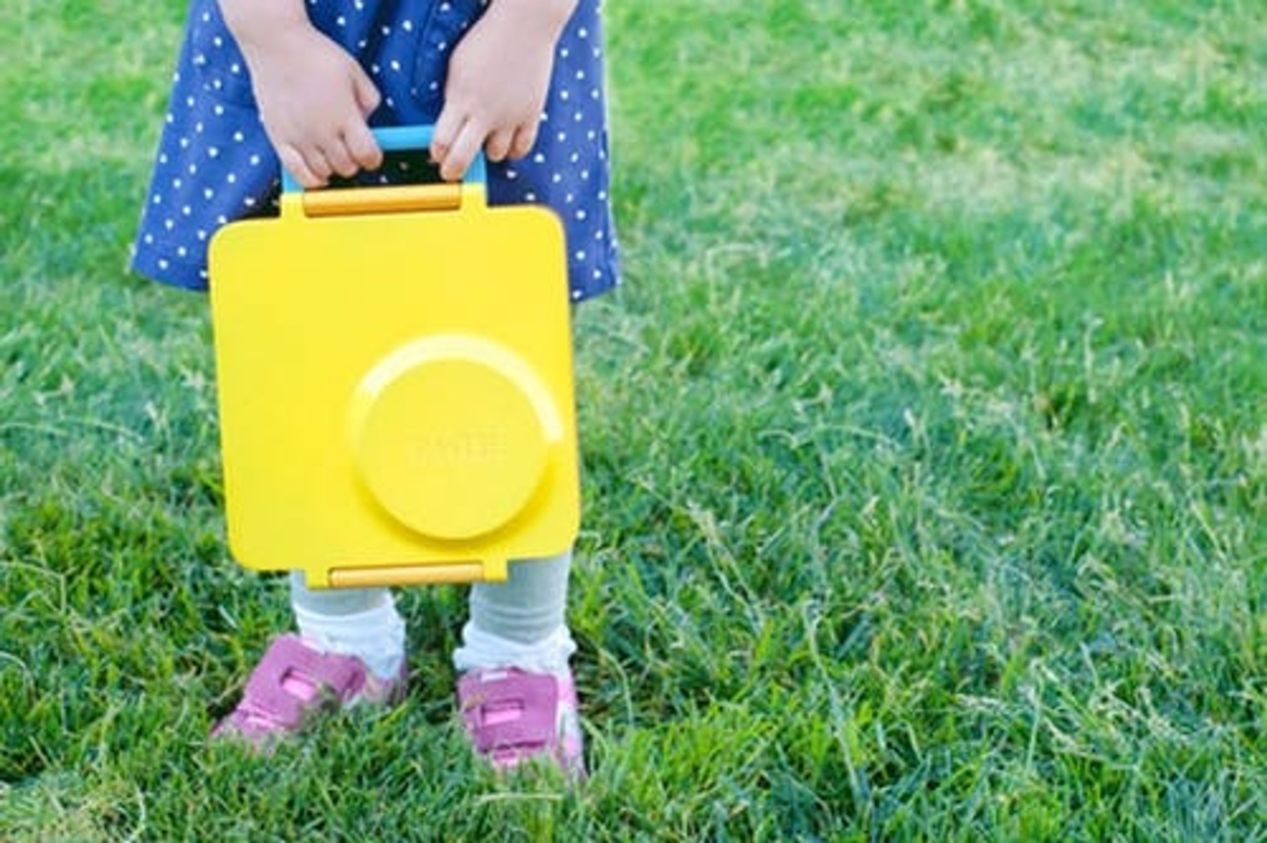 OmieBox Is the ONLY Lunchbox Your Kids Need