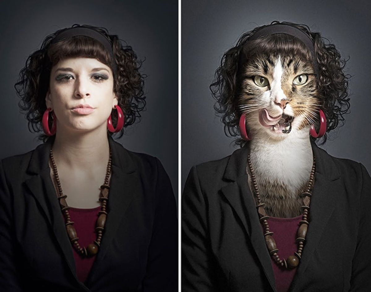 We Can’t Tell if These Cat Portraits Are Creepy or Awesome (or Both)