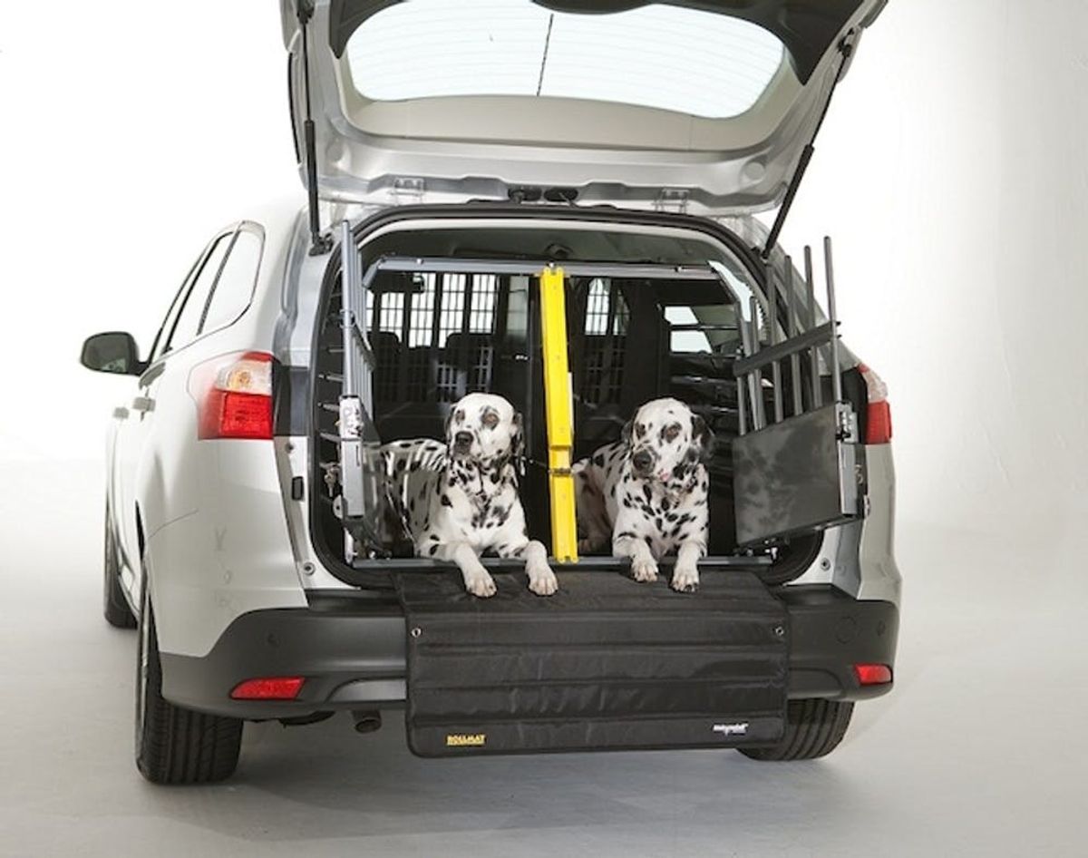 Keep Your Puppy Protected in the Car With the Safest Crate Ever