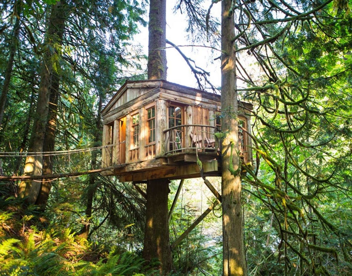 The 10 Coolest Homes in The Treetops
