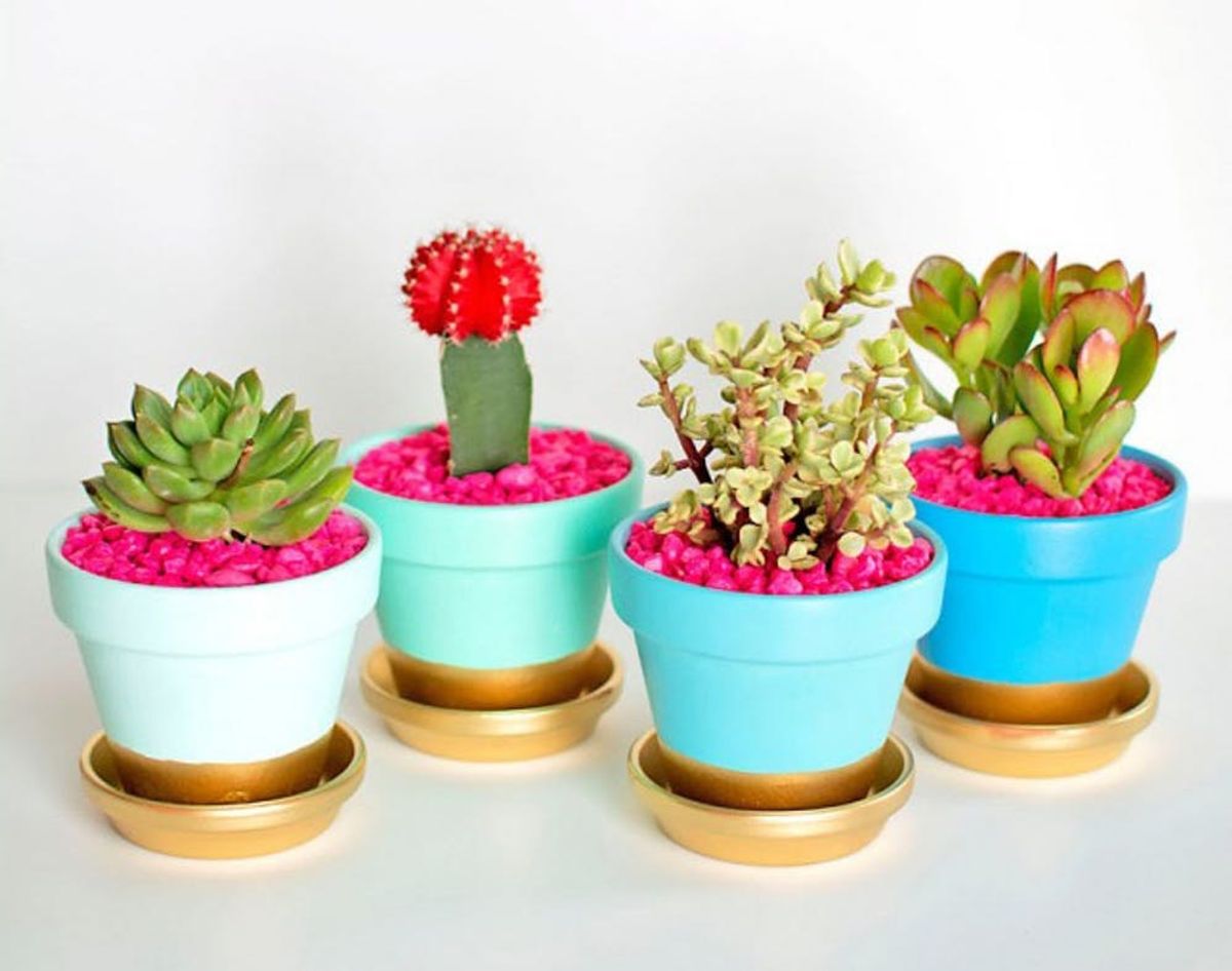 22 “Mini Planter” Ideas to Inspire Your Next Floral Arrangement
