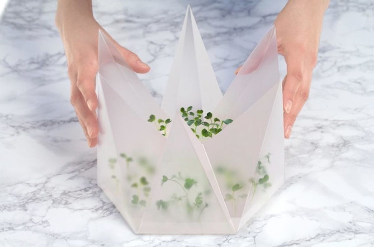 The MicroGarden Is a Foldable Garden, Small Enough for Your Tabletop