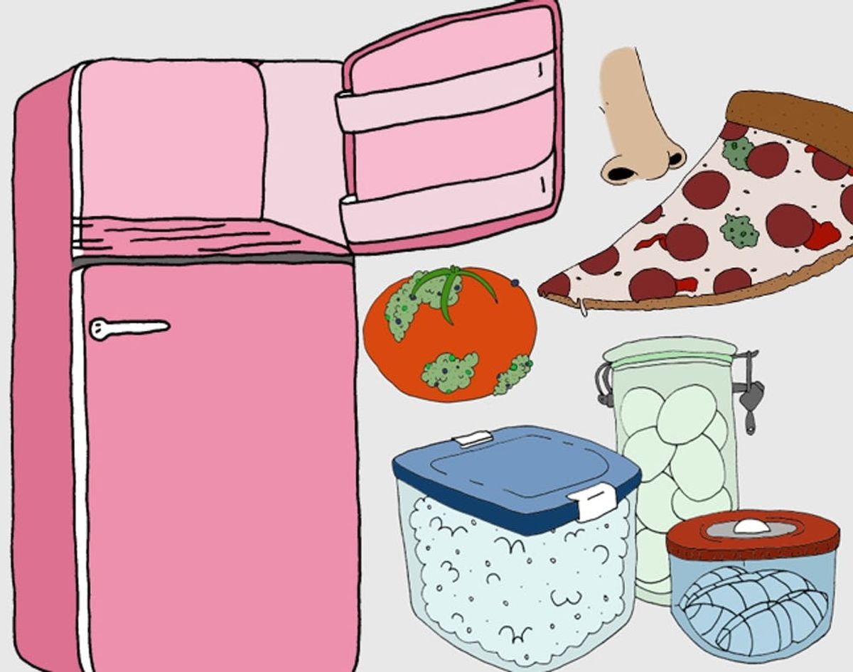 Newsflash: You’re Storing Food Wrong — Here’s How to Do it Right