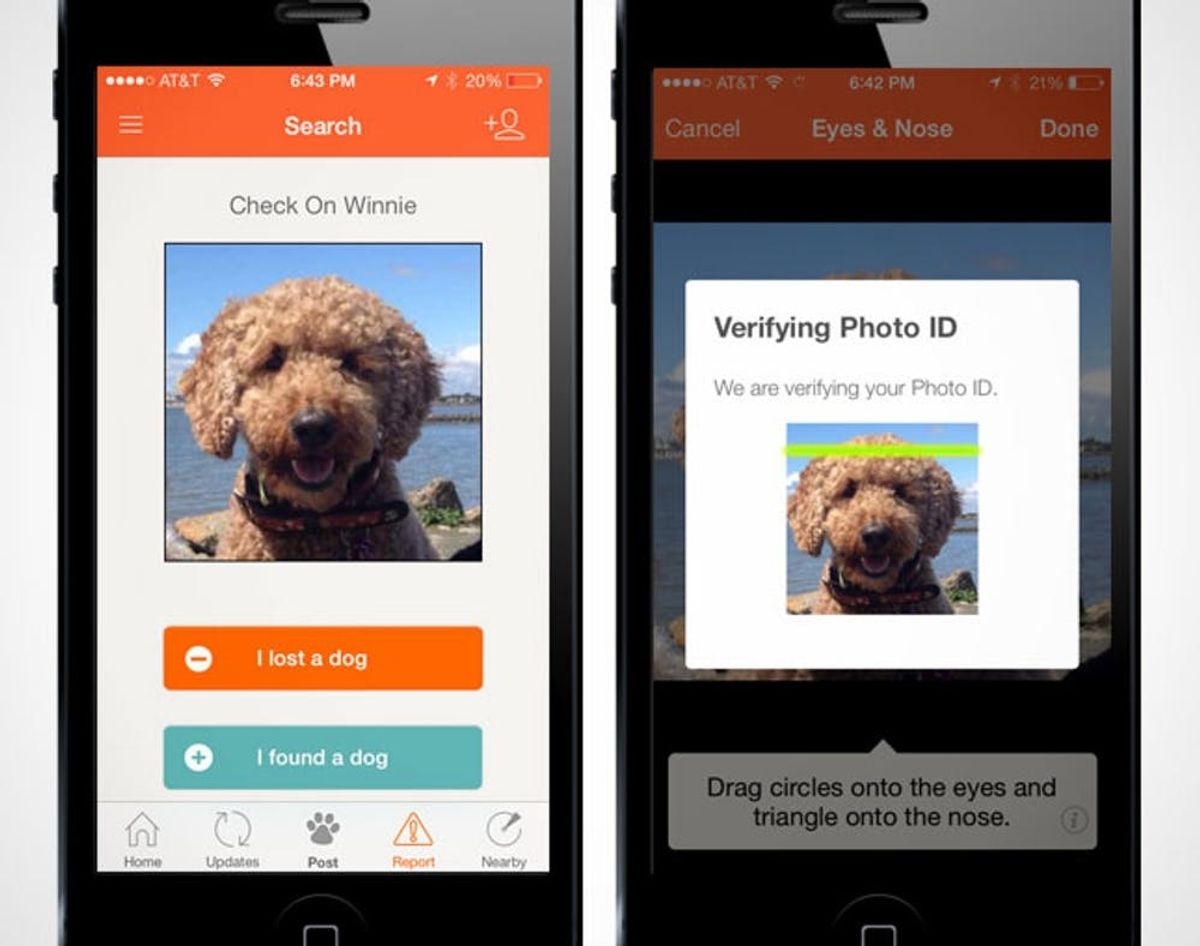 Now You Can Save a Lost Dog Just By Snapping Its Photo