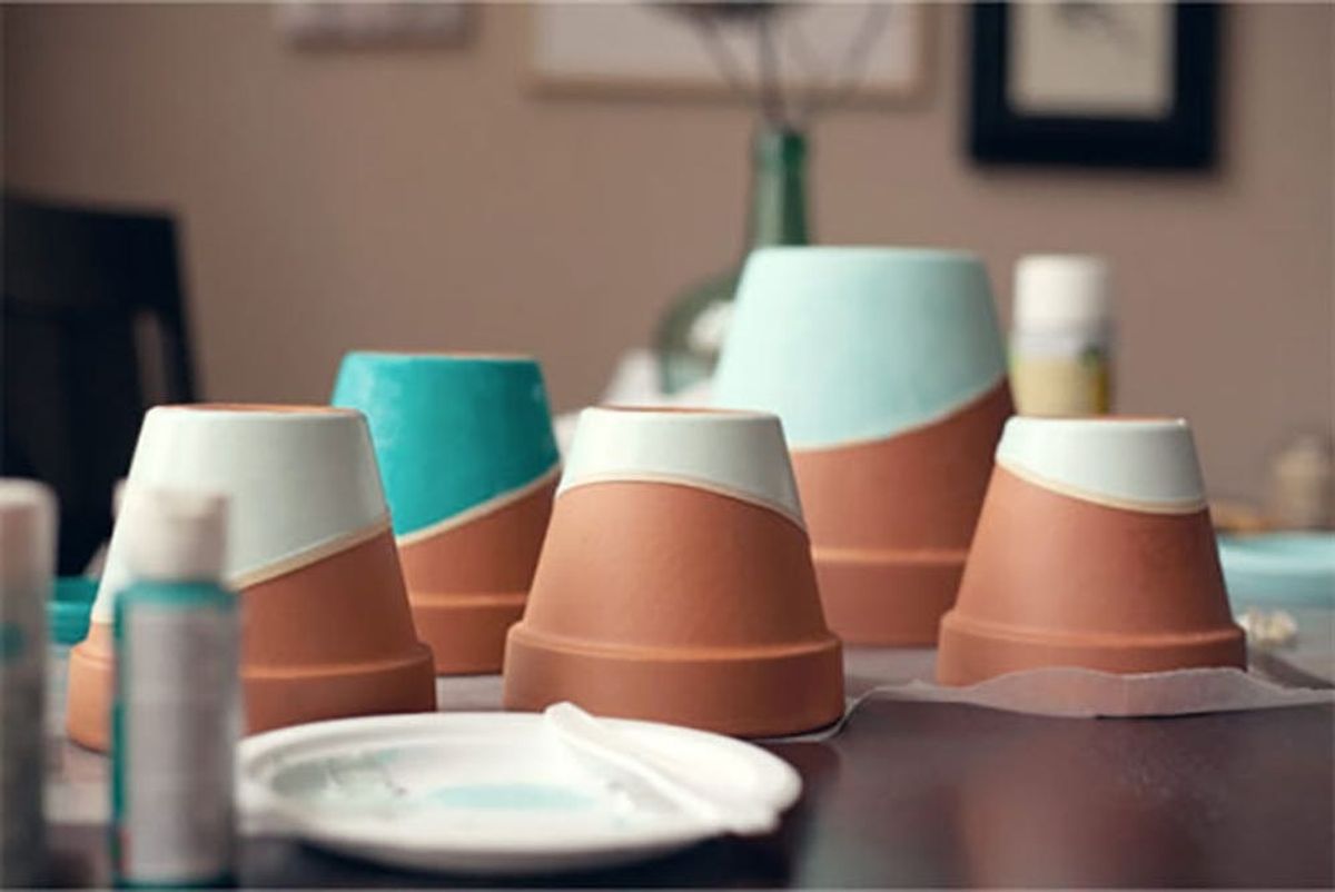 19 DIY Plant Pots That Are Legal in All 50 States