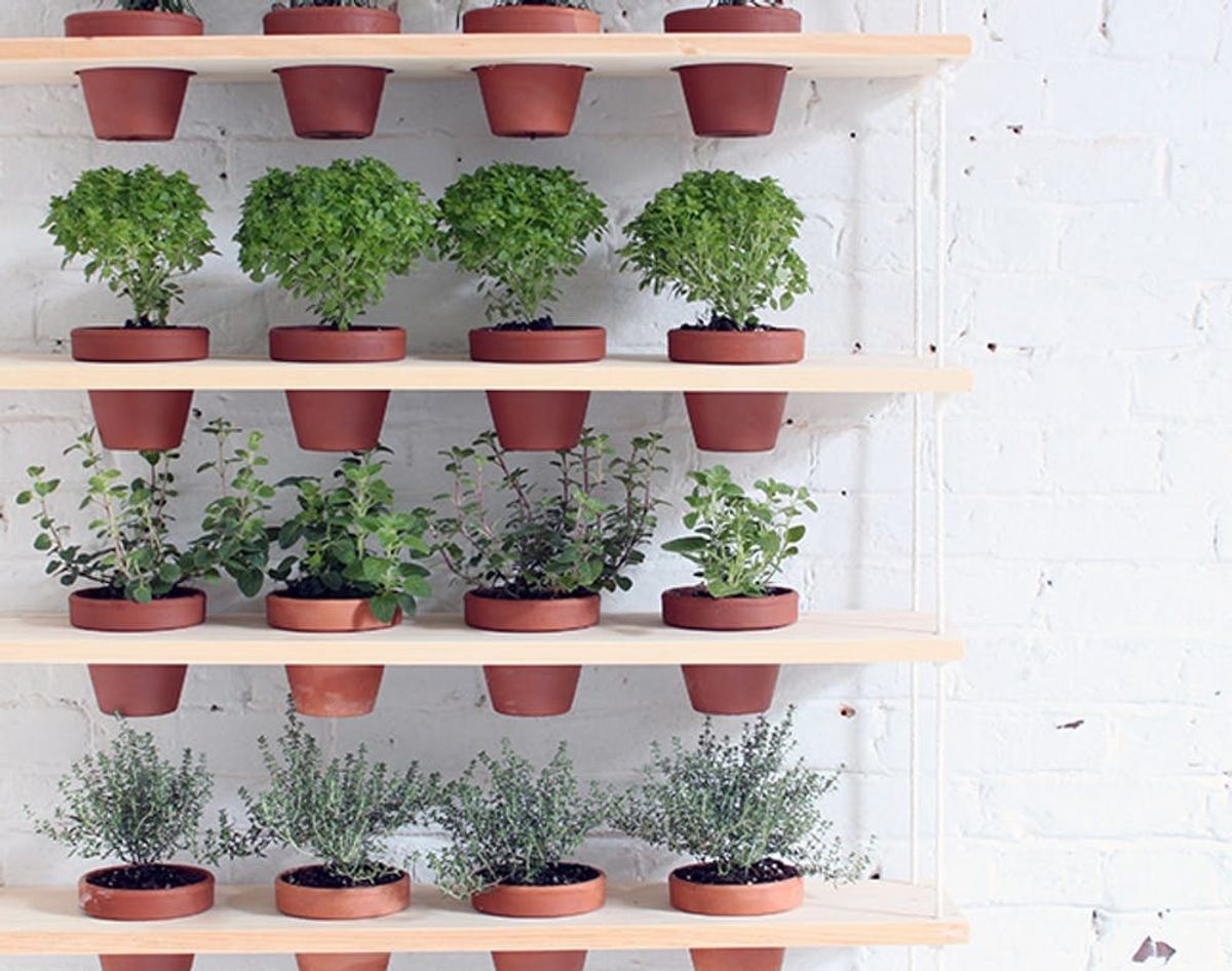 This DIY Hanging Planter is the Perfect Urban Garden
