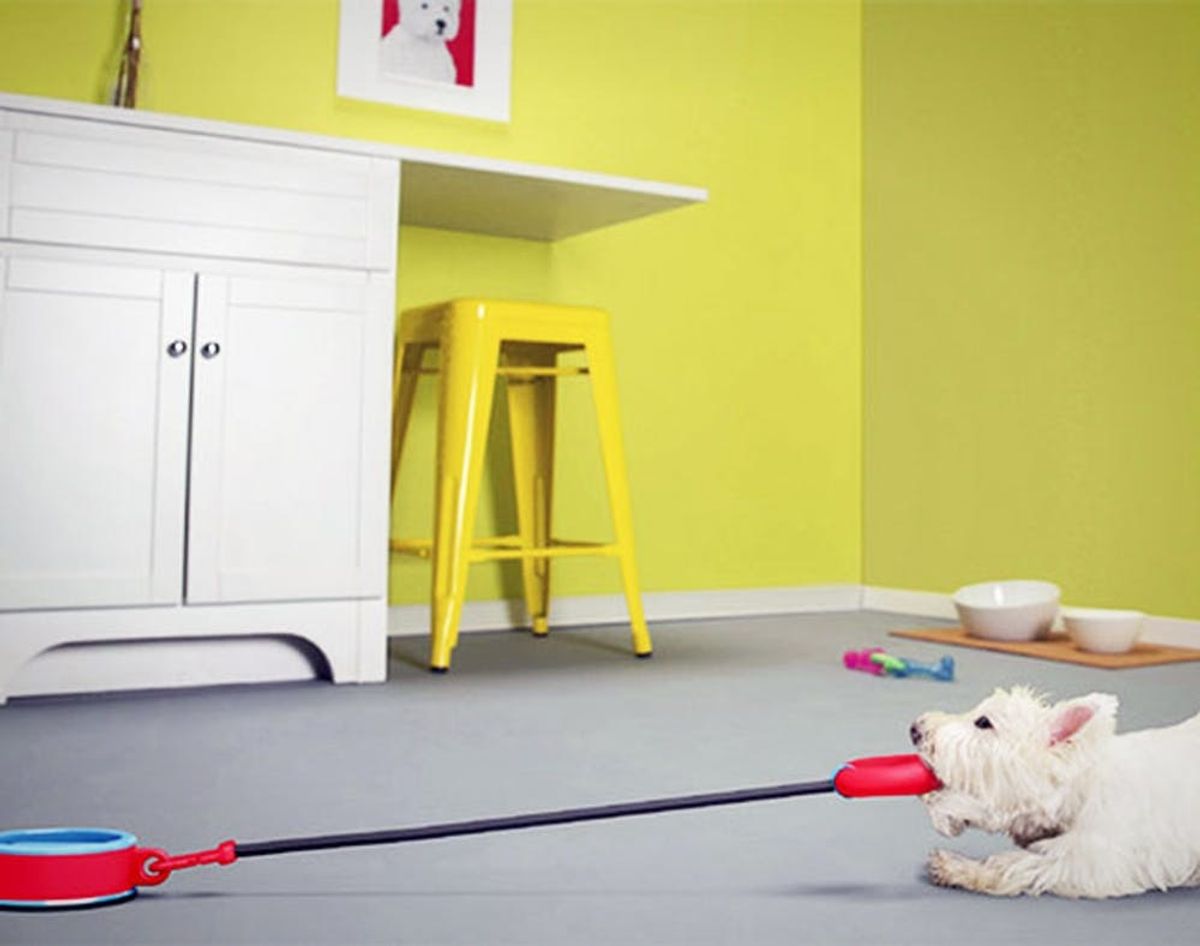 The Toy That Plays With Your Dog When You Can’t