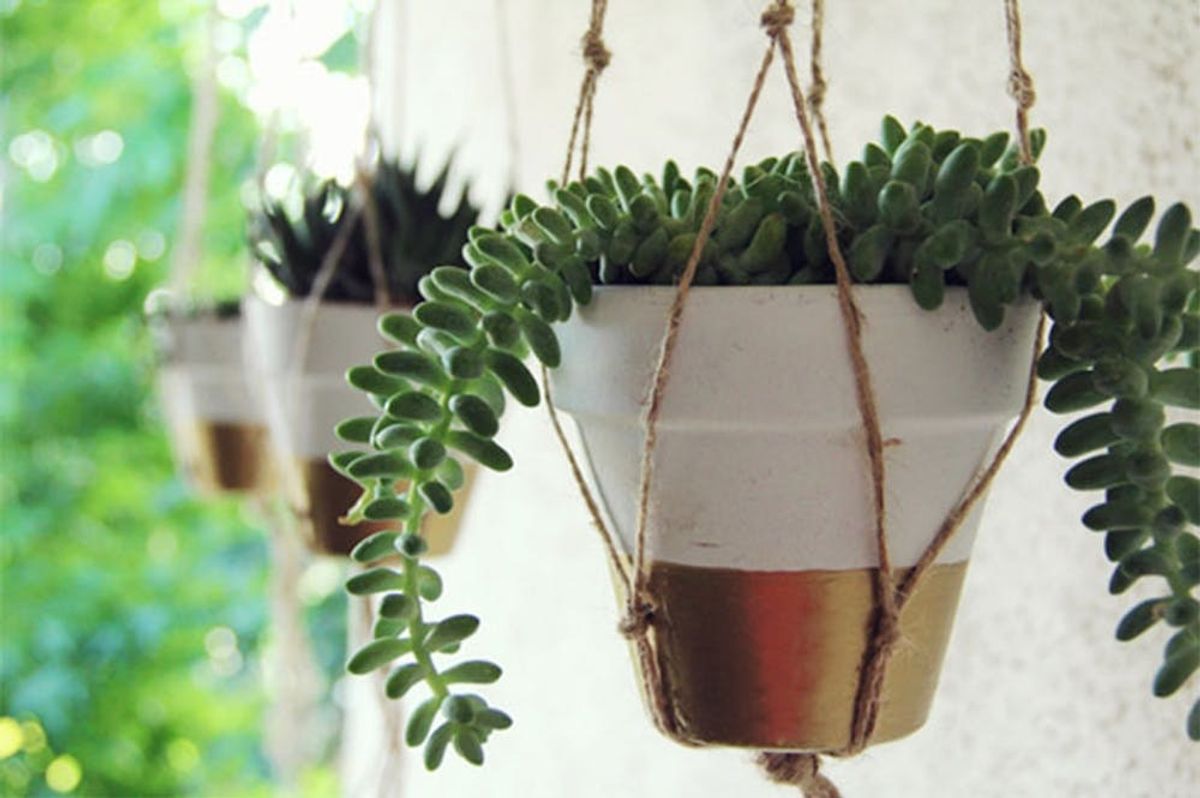 18 Indoor Garden Ideas to Green Your Apartment