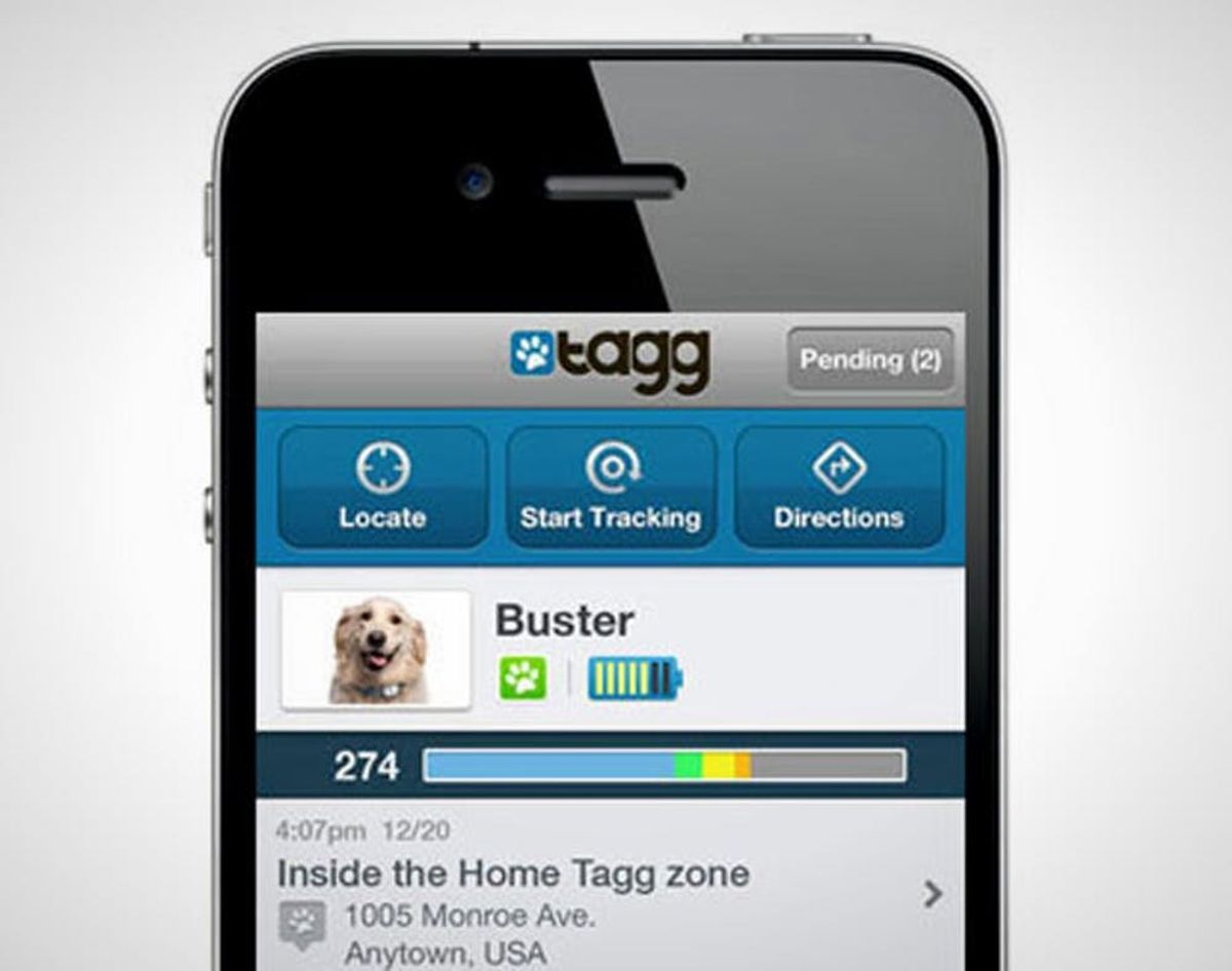 8 Must-Have Apps for Every Dog Owner
