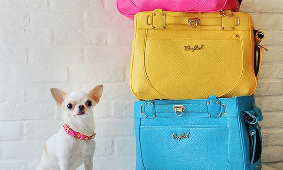 20 Smart And Stylish Pet Carriers Brit Co 20-smart-and-stylish-pet-carriers-brit-co
