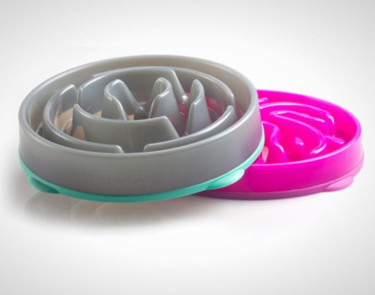 Slo-Bowl is a Playful Feeder that Lets Your Pet Graze All Day