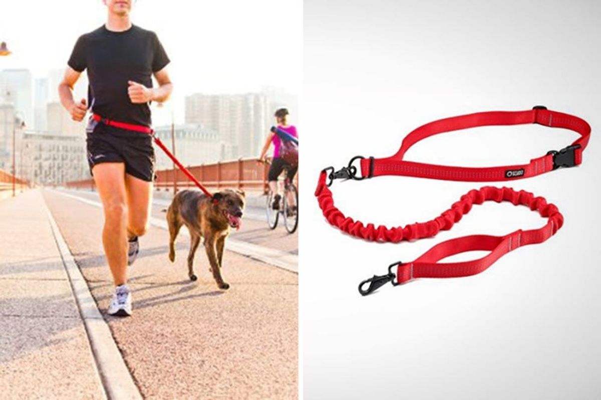 6 Gadgets to Help You and Your Dog Stay Active