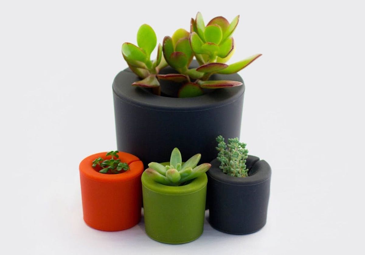 5 No-Fail Ways to Plant a Garden