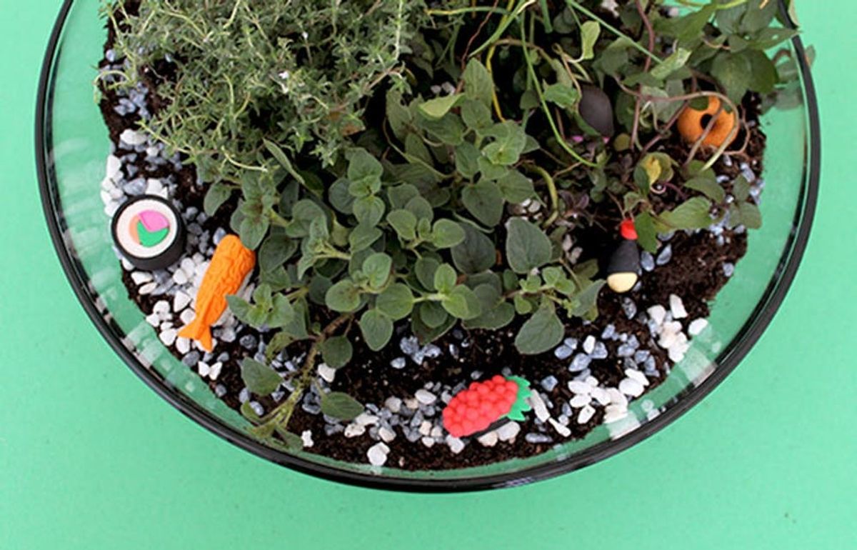 Create Your Own Herb Terrarium Centerpiece
