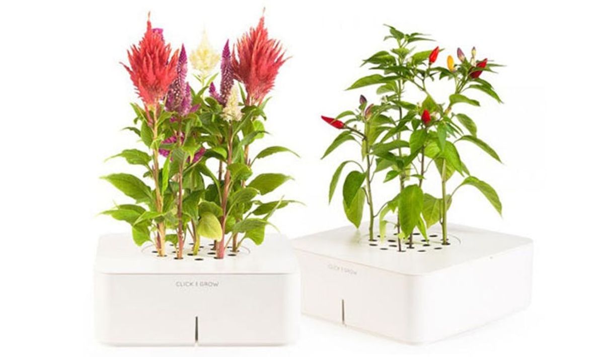 Click and Grow Automatically Waters and Cares for Your Plants