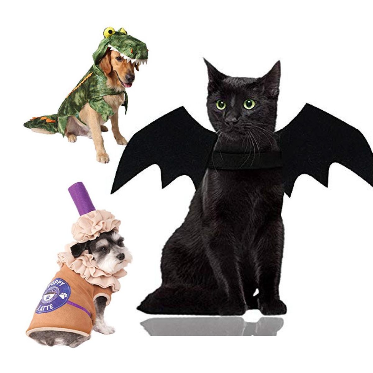 60 Of The Cutest Pet Costumes for the Spooky Season And Beyond