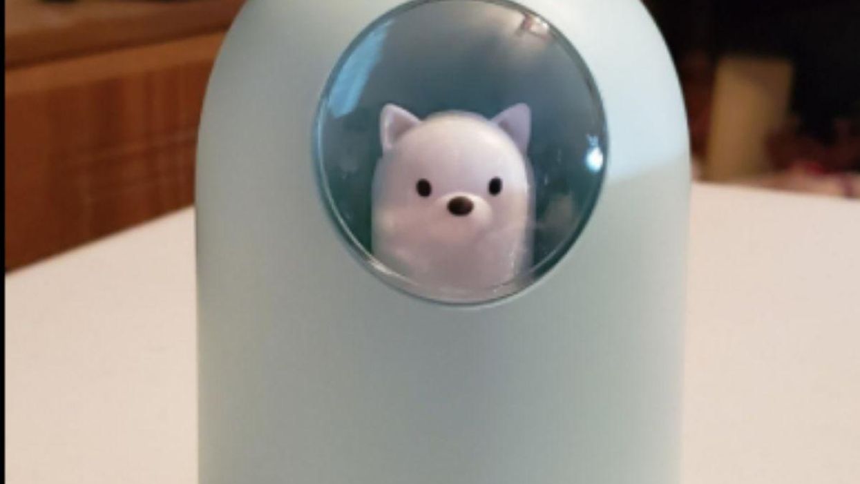 35 Products That Are Too Cute To Pass Up