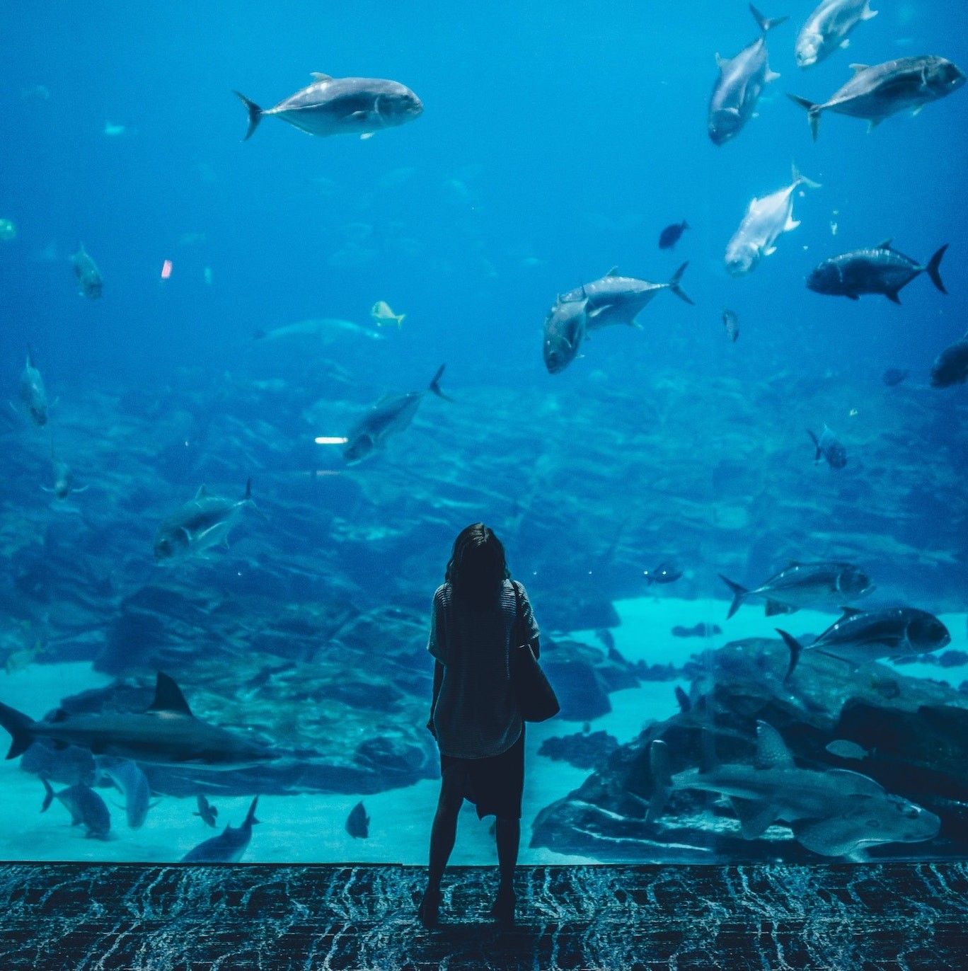 woman at an aquarium dream date ideas