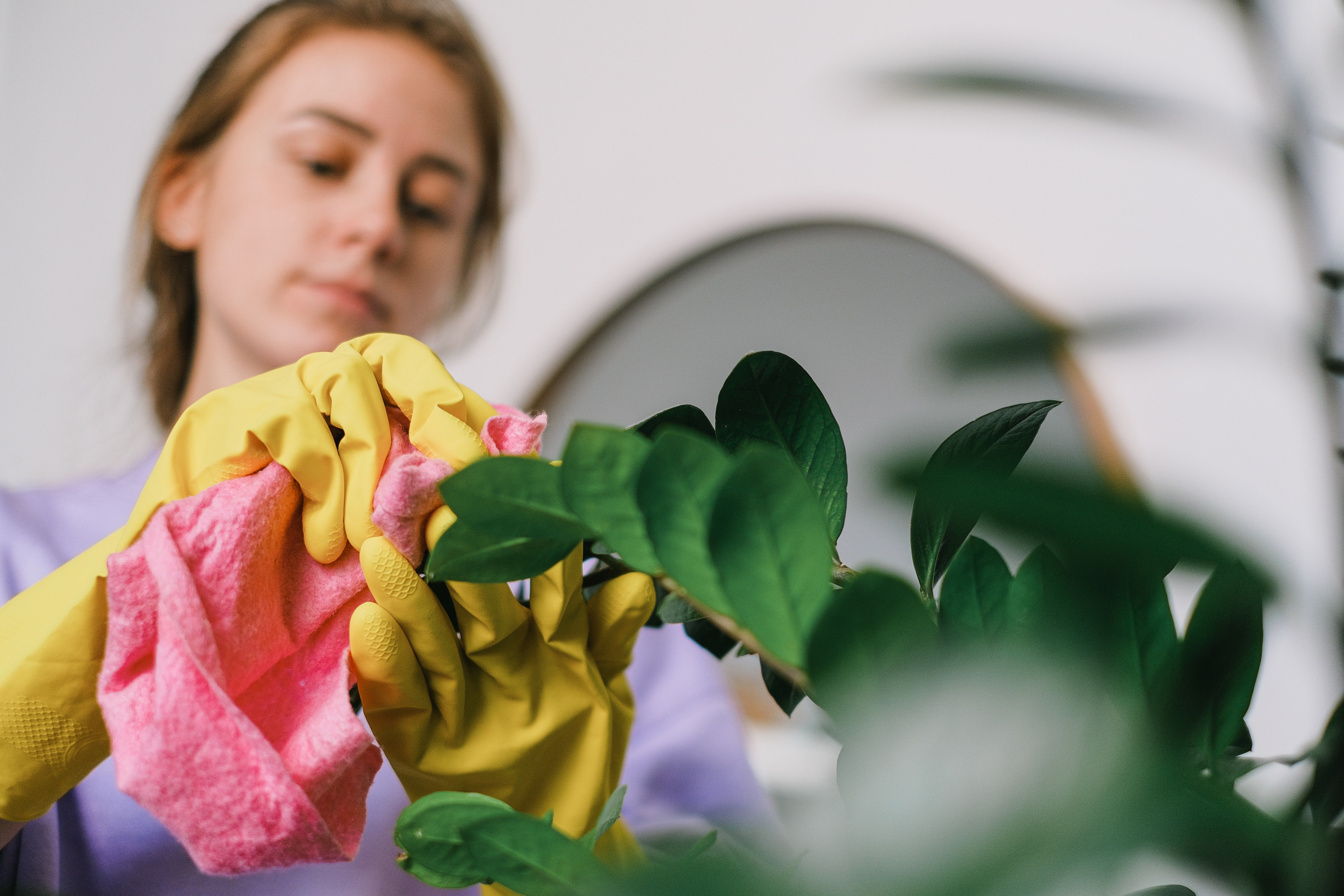 time-saving cleaning tips woman dusting houseplant