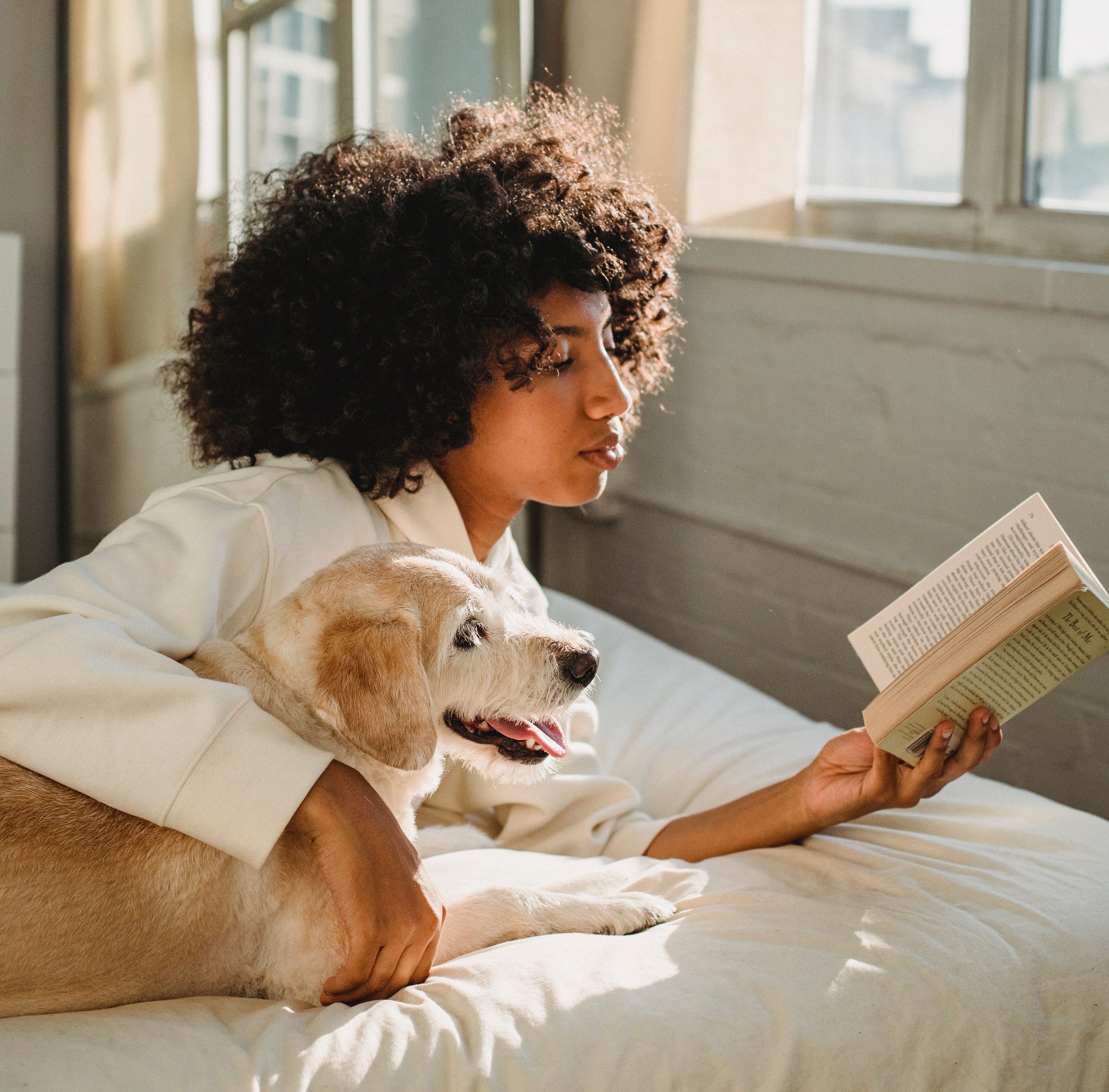 Unleashing The 18 Best Pet-Friendly Hotels For You & Your Furry Friends