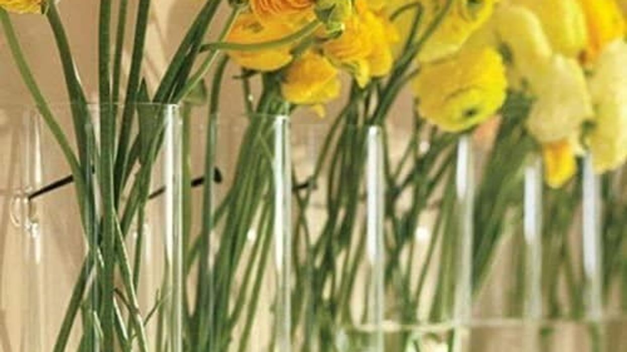 Upgrade Your Space: 35 Home Essentials With A Unique Spin