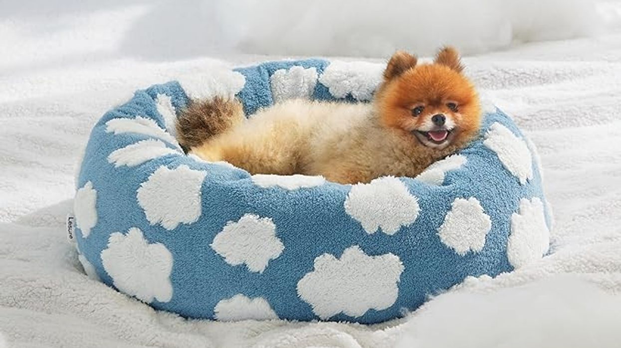 37 Cheap, Clever Things That Make Your Home Look Really, Really Expensive