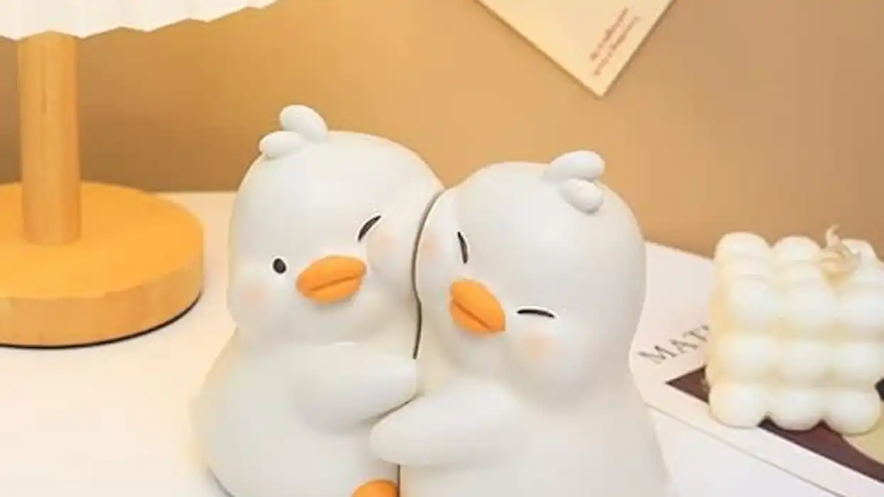 Your New Favorite Finds: 138 Amazon Must-Haves You’ll Be Glad You Discovered