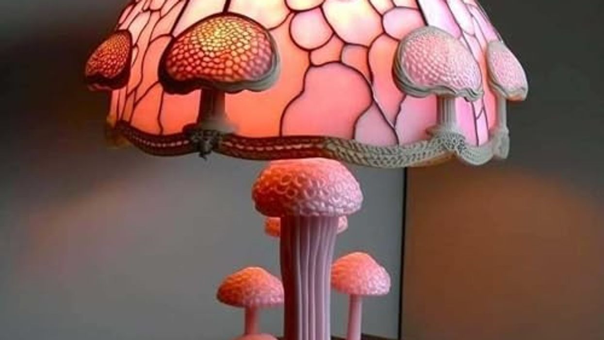 Embrace the ‘Biophilic’ Home Decor Trend That’s Taking TikTok by Storm