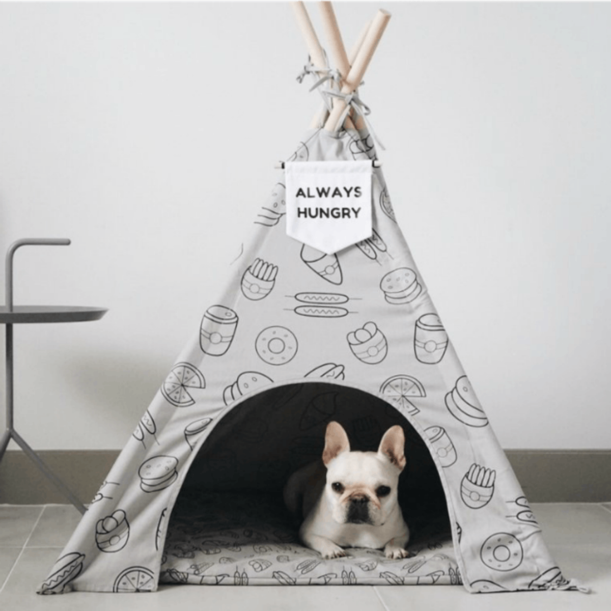 10 Must-Have Puppy Essentials for Your Apartment