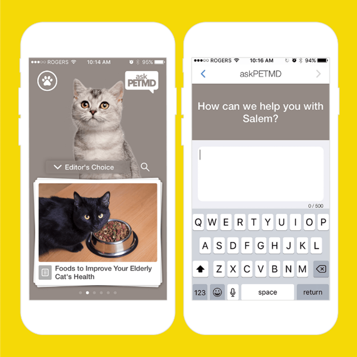 10 Apps for Every Cat Lady *Obsessed* With Her Furry BFF