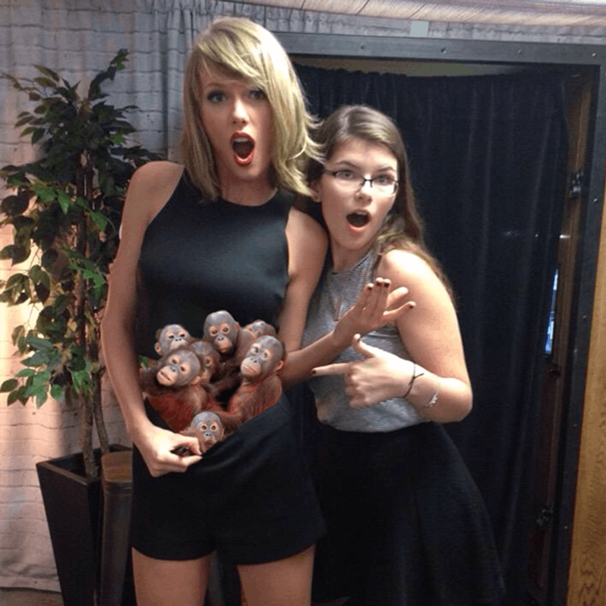 These Taylor Swift Belly Button Memes Are the Only Thing You Need to See Today