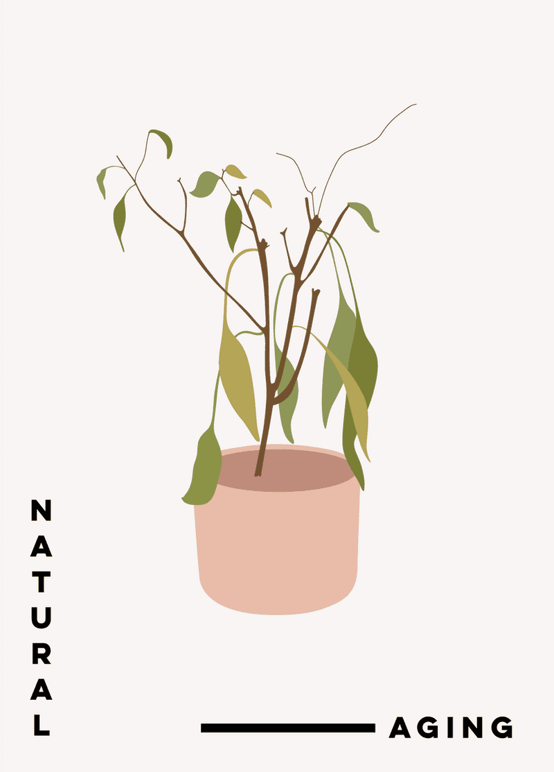 Revive Your Plants: Yellow Leaves Aren't Fatal! - Brit + Co